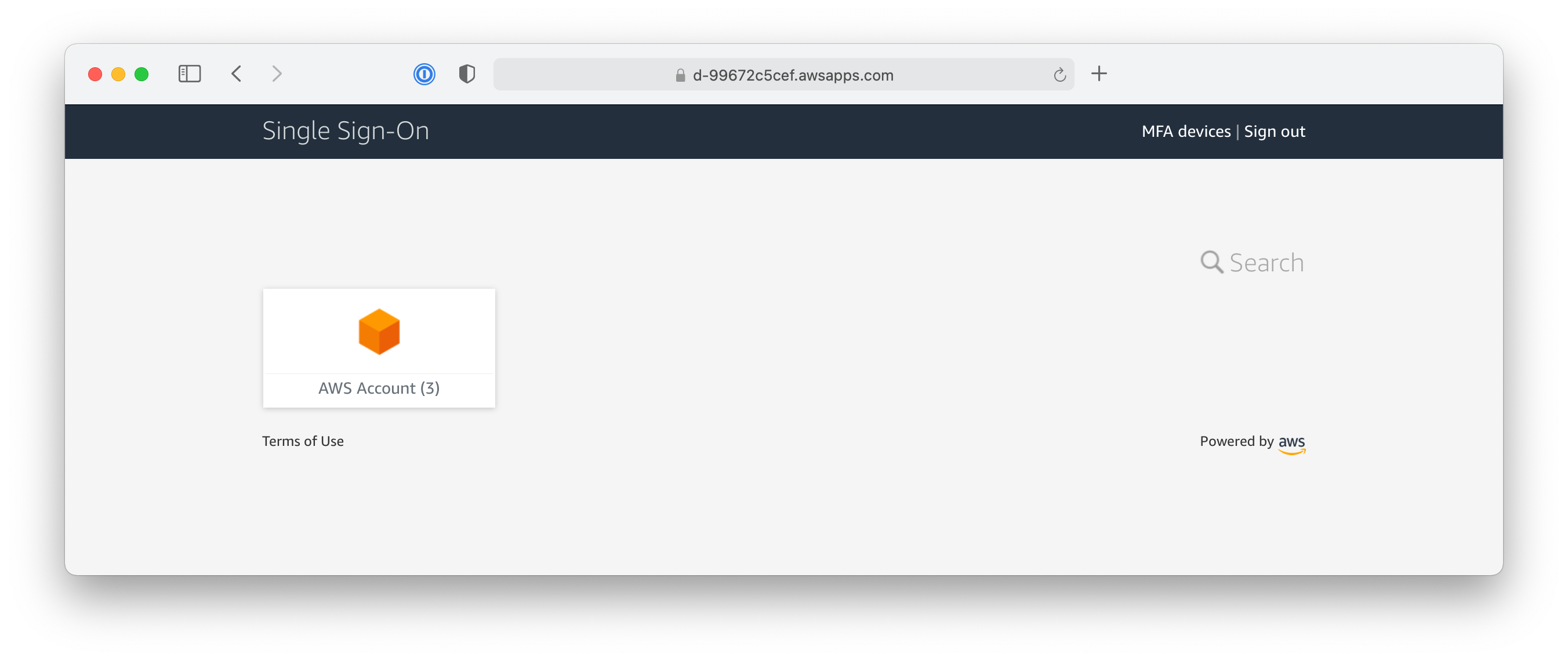 SSO Password